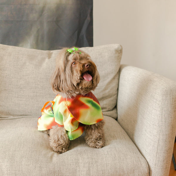 Capa impermeable para mascotas Guaduas De Noche